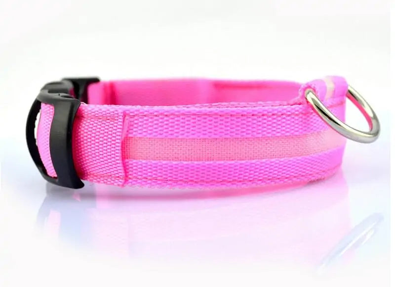 Pet Led Collar | Jolly Pets