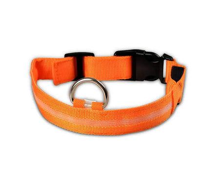 Pet Led Collar | Jolly Pets