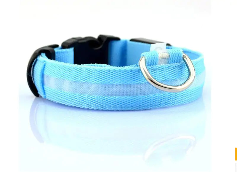 Pet Led Collar | Jolly Pets