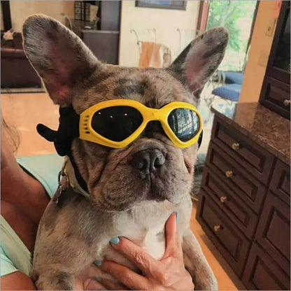 Dog Sunglasses | Jolly Pets