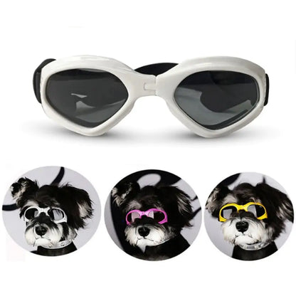 Dog Sunglasses | Jolly Pets