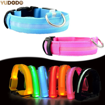 Pet Led Collar | Jolly Pets