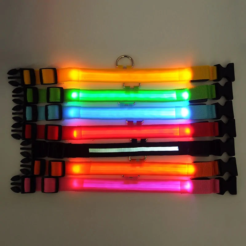 Pet Led Collar | Jolly Pets