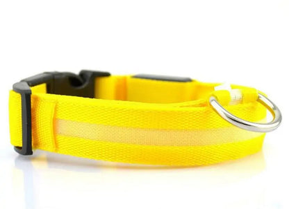 Pet Led Collar | Jolly Pets