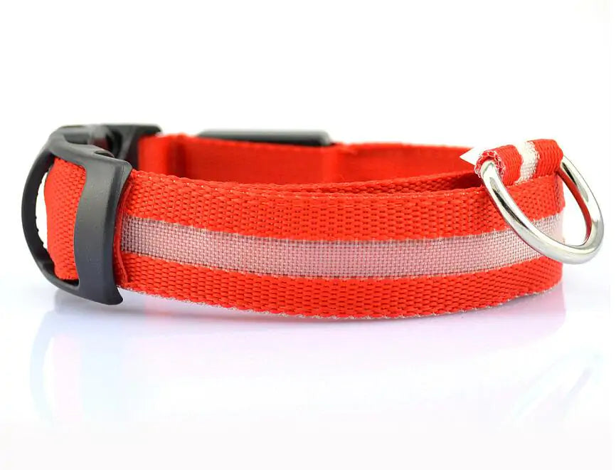 Pet Led Collar | Jolly Pets