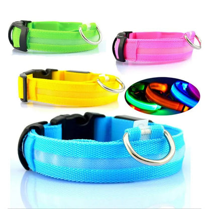 Pet Led Collar | Jolly Pets